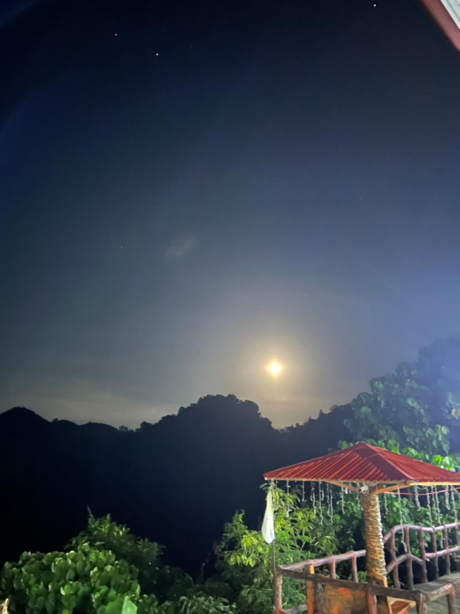 C View Resort Sipalay Extérieur photo